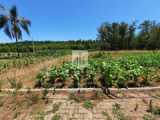 Terrenos, 566,91 m², à venda por R$ 128.000,00 - Centro - Lindolfo Collor