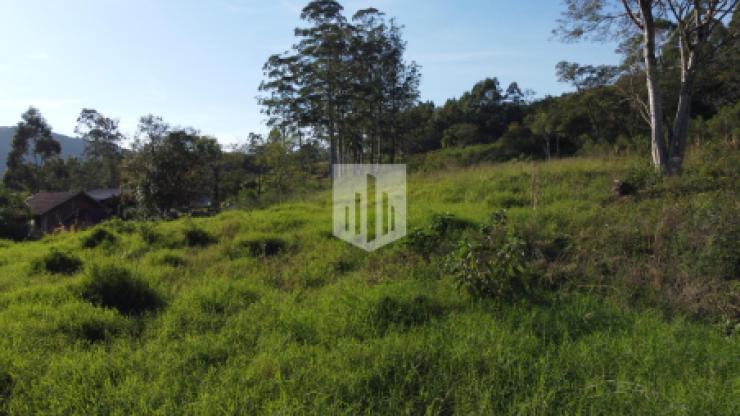 Áreas de terra, 156.037,09 m², à venda - Picada Schneider - Presidente Lucena