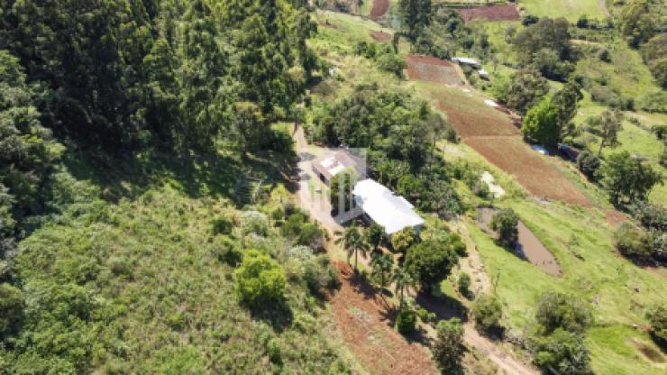 Chácaras, Fazendas e Sítios, 45.643,85 m², à venda - Picada Feijão - Ivoti