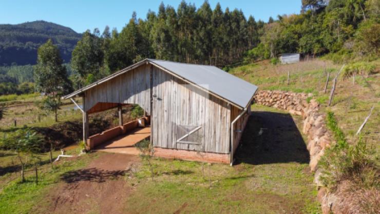 Chácaras, Fazendas e Sítios, 30.000,00 m², à venda - Picada Feijão - Ivoti