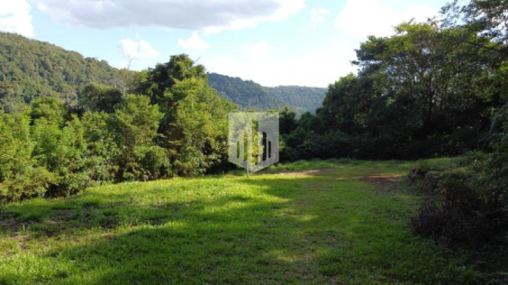 Áreas de terra, 70.000,00 m², à venda - Roseiral - Linha Nova