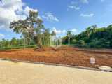 Terrenos, 342,00 m², à venda - Altos da Vila Rosa - Dois Irmãos