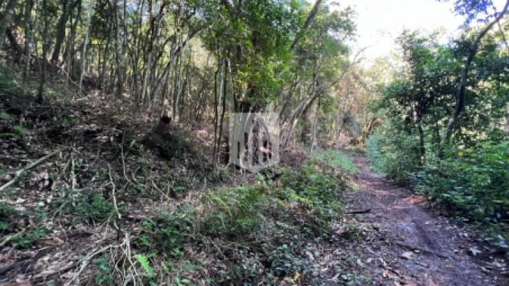 Áreas de terra, 45.000,00 m², à venda por R$ 290.000,00 - Linha Nova Baixa - Presidente Lucena