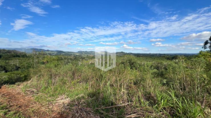 Áreas de terra, 42.000,00 m², à venda - Capela do Rosário - São José do Hortêncio