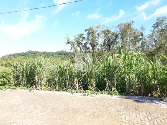 Terrenos, 599,39 m², à venda por R$ 128.000,00 - Centro - Lindolfo Collor