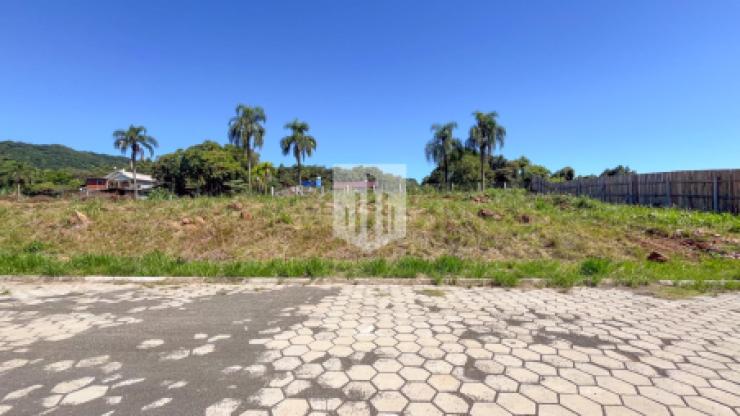 Terrenos, 363,75 m², à venda - Centro - Presidente Lucena