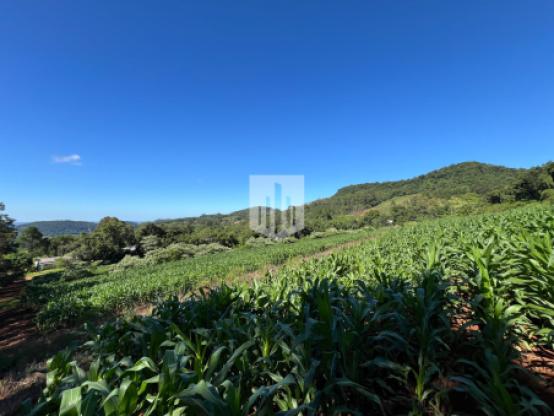 Áreas de terra, 40.000,00 m², à venda - Morro Grande - Linha Nova