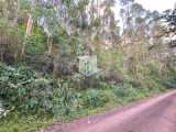 Áreas de terra, 54.255,54 m², à venda - Picada Feijão - Ivoti
