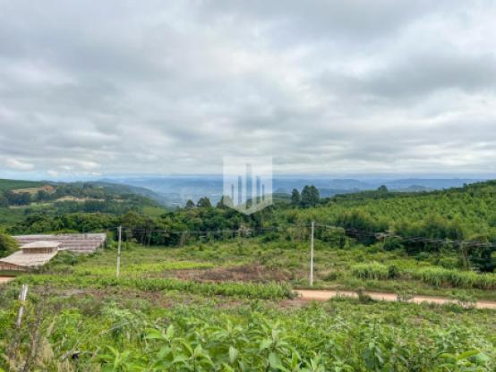 Áreas de terra, 10.299,43 m², à venda - Birkenthal - Morro Reuter