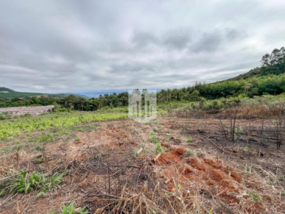 Áreas de terra, 13.937,45 m², à venda - Birkenthal - Morro Reuter