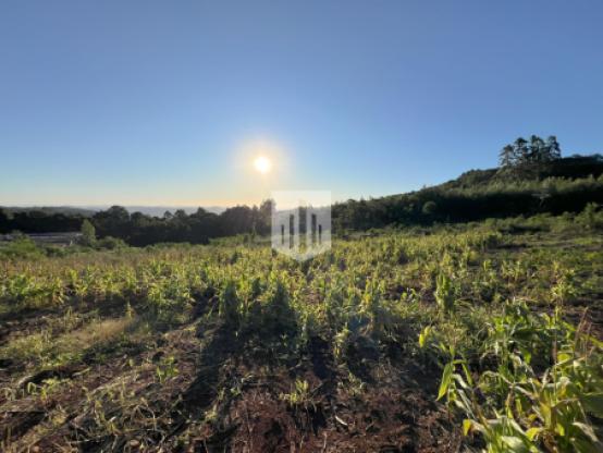 Áreas de terra, 13.937,45 m², à venda - Birkenthal - Morro Reuter