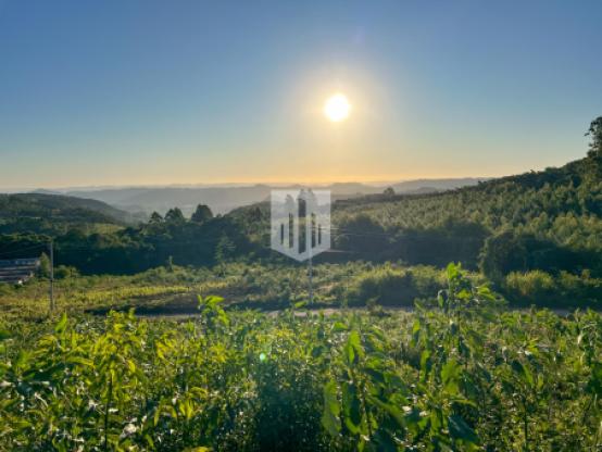 Áreas de terra, 10.299,43 m², à venda - Birkenthal - Morro Reuter