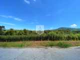 Áreas de terra, 32.898,88 m², à venda por R$ 600.000,00 - Picada 48 Alta - Ivoti