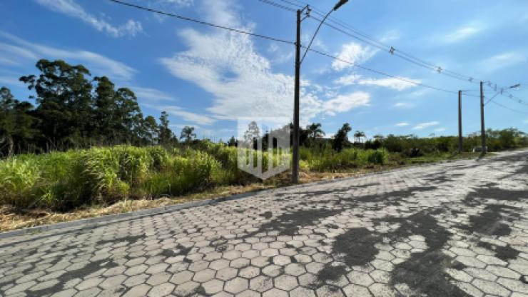 Terrenos, 363,75 m², à venda por R$ 138.000,00 - Centro - Presidente Lucena