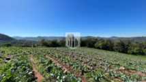 Áreas de terra, 30.809,15 m², à venda - Capela do Rosário - São José do Hortêncio