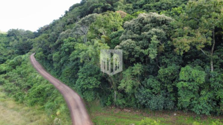 Áreas de terra, 163.732,60 m², à venda por R$ 320.000,00 - Morro Bock - Picada Café