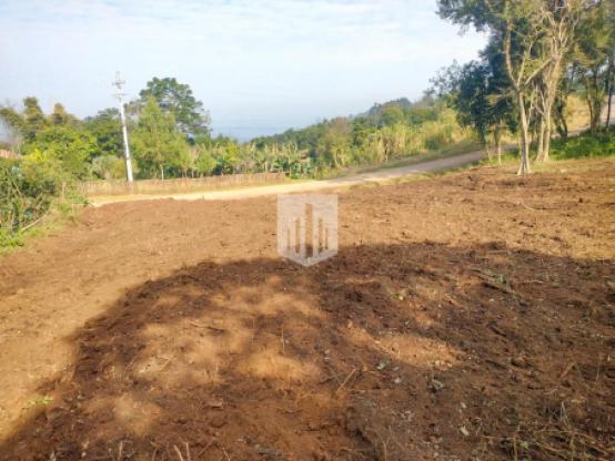 Áreas de terra, 1.816,00 m², à venda - Morro Grande - Linha Nova